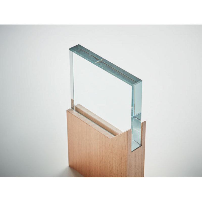 Load image into Gallery viewer, engraved-award-plaque