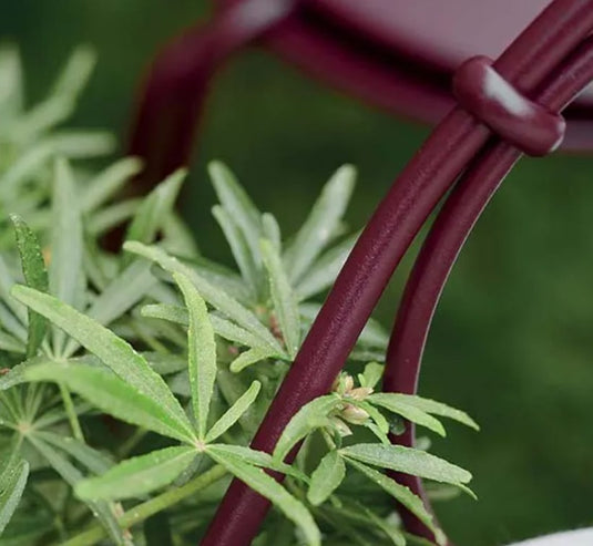 1900 Carbriolet Armchair - Custom Wood Designs