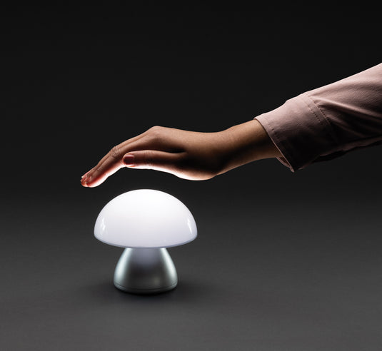 Luming RCS recycled plastic USB re-chargeable table lamp - Custom Wood Designs