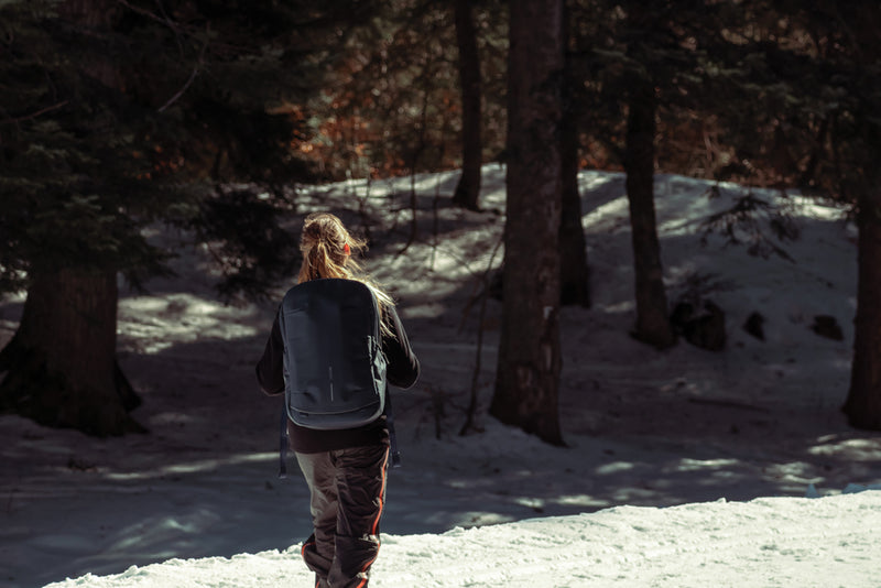 Load image into Gallery viewer, Bobby Explore backpack - Custom Wood Designs
