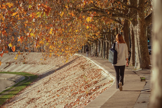 Bobby Bizz 2.0 anti-theft backpack & briefcase - Custom Wood Designs