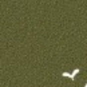 Load image into Gallery viewer, 1900 Lounge Armchair - Custom Wood Designs 1900 Lounge Armchair made from [material] – Ideal for [use_case] | Custom Wood Designs
