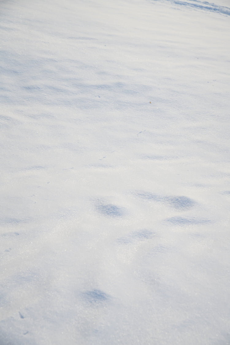 Creating the Perfect PR Drop: Tips and Tricks