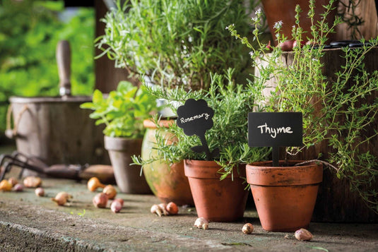 Flower Chalkboard Tag - Pack of 30 Custom Wood Designs __label: Multibuy default-title-flower-chalkboard-tag-pack-of-30-53612393038167